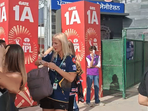 मुल्लांपुर स्टेडियम में विदेशी फैंस मैच देखने पहुंचे।