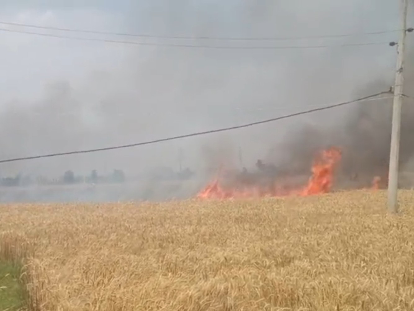 एसडीओ बोले-क्षति का आकलन होगा, तेज हवा से लाखों का नुकसान|जमुई,Jamui - Dainik Bhaskar