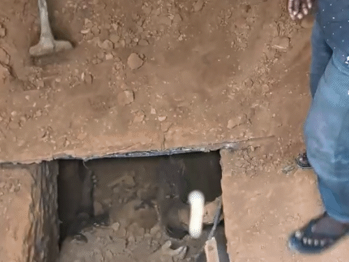 पुलिस ने गड्ढा खोदकर शव को बाहर निकलवाया।