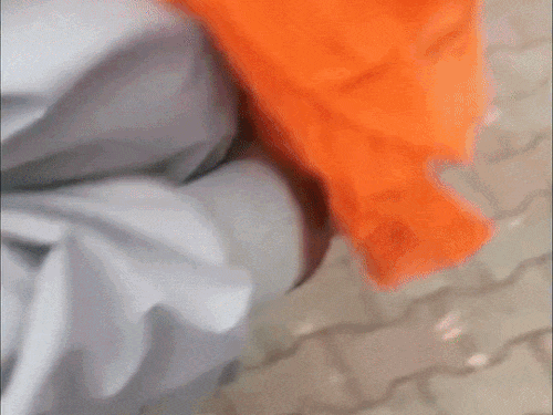 Punjab CM Bhagwant Mann & Preity Zinta at IPL PBKS GT Match