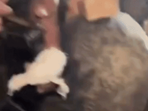 रूस-यूक्रेन फ्रंटलाइन के दौरान गोलियां लोड़ करते हुए।