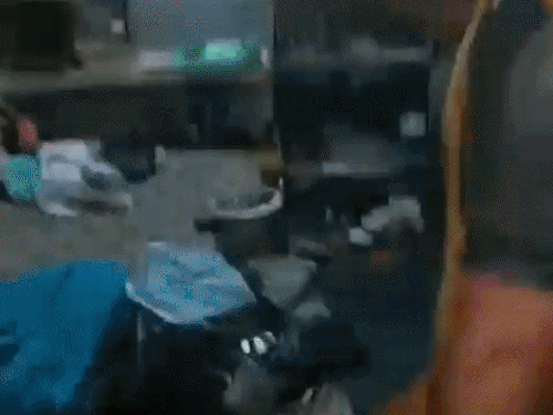 सोना, कैश और गैस सिलेंडर भी ले गए चोर।