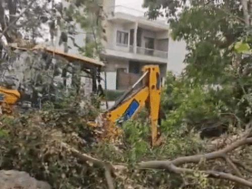 सेक्टर-6 में पेड़ों को तोड़ते हुए जेसीबी।