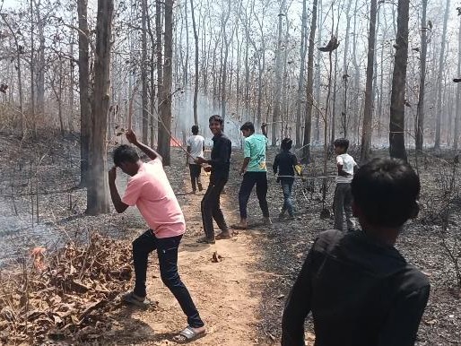 नर्सरी में लगी भीषण आग बुझाते हुए ग्रामीण और वन विभाग के कर्मचारी