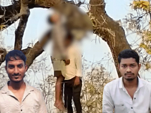 दो दोस्तों के शव एक ही पेड़ पर फांसी के फंदे से लटकता मिला। - Dainik Bhaskar