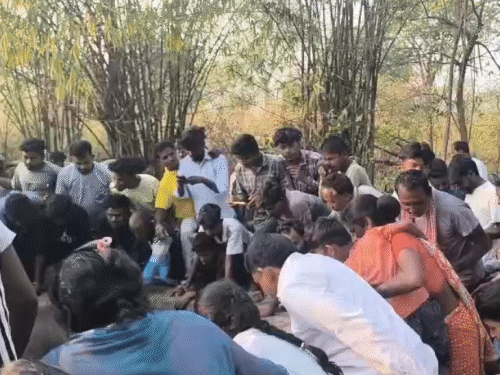 कुएं में गिरी हाथी को देखते लोगों की भीड़।