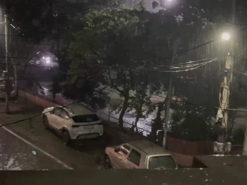 हिसार में रात को तेज हवाओं के साथ बारिश हुई।