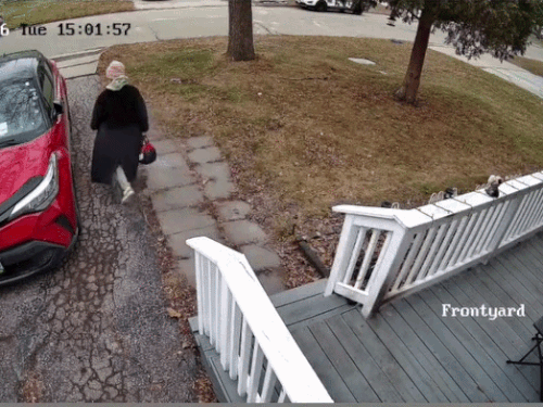 हाथ में लाल बैग पकड़े गाड़ी में बैठती नैन्सी ग्रेवाल।