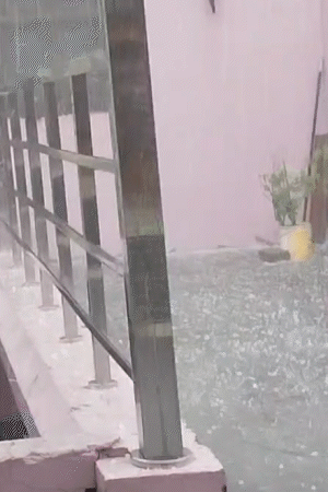 मथुरा में शाम होते ही बारिश के साथ ओले गिरना शुरू हो गए।