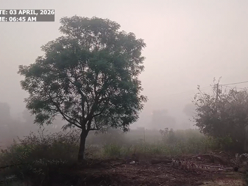 महाराष्ट्र के नासिक के सिन्नर इलाके में आज सुबह घना कोहरा छाया रहा, जिससे खेत और पहाड़ियां धुंध में ढक गईं।