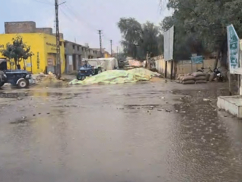 श्रीगंगानगर में गुरुवार दोपहर करीब 3:50 बजे तेज बारिश हुई थी।