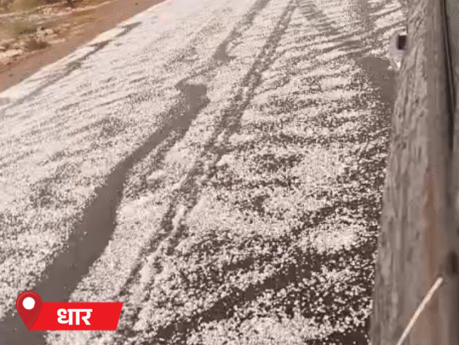 Cover391775178580 1775181276