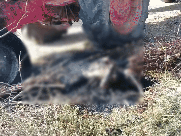 Shivpuri Accident: Woman, Child Dead After Tractor Hits High Tension Line