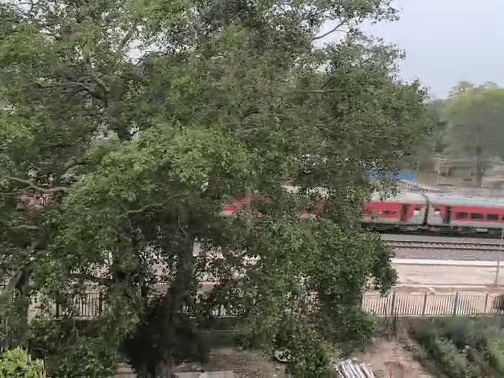 Gifmagicsite 31775179443 1775180477