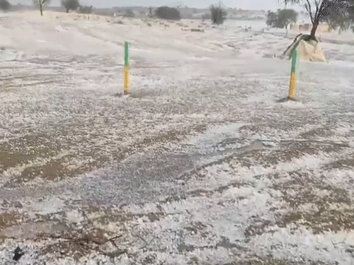 IMD Weather Update Today MP rajasthan haryana rain himachal jammu kashmir  snowfall alert