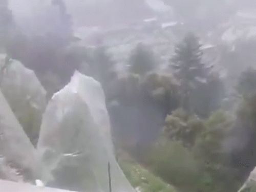 हिमाचल प्रदेश के शिमला में भी ओले गिरे।