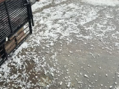 पंजाब के अमृतसर में सड़क पर ओलों की सफेद चादर बिछ गई।