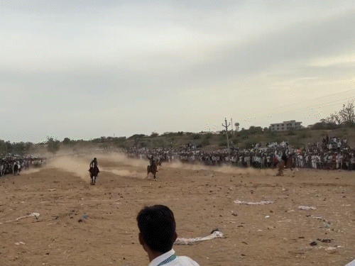 Horse Race Accident in Bhinmal | 3 Injured Treated at Private Hospital