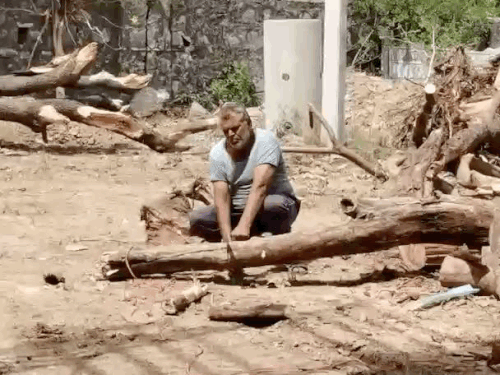 भोजन निर्माण में एलपीजी गैस की बजाय इस बार लकड़ियों का ईंधन के रूप में उपयोग किया जाएगा।