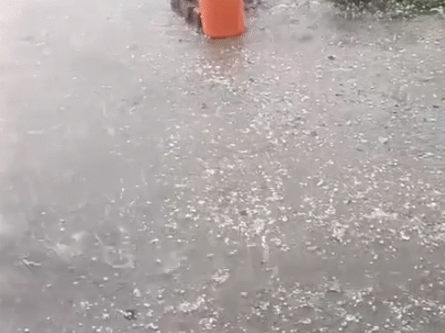 राजस्थान के श्रीगंगानगर में तेज बारिश के साथ ओले गिरे।