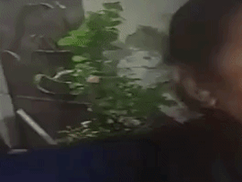 हमलावर युवक की मां भारती मामले की जानकारी देते हुए।