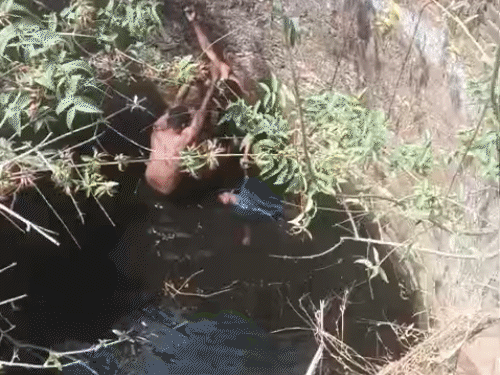 घटना के अगले दिन कुएं से शव निकाला गया।