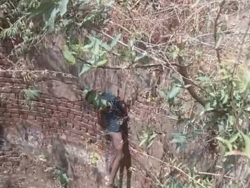 पुलिस की मौजूदगी में शव बाहर निकालकर पीएम के लिए भेजा।