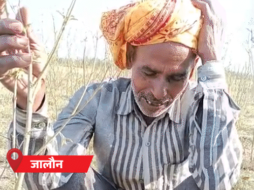 UP Weather Alert | 7 April Western Disturbance Active; Bahraich Hottest