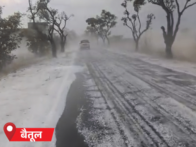 cover17 31775309368 1775356090