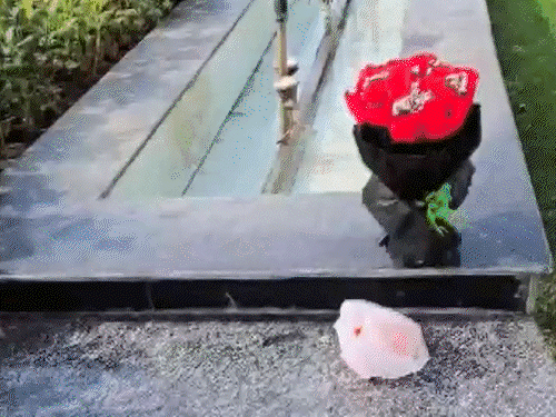 कार ने दिल्ली विधानसभा के गेट नंबर 2 से एंट्री की और विधानसभा स्पीकर के ऑफिस के बाहर गुलदस्ता रखा। - Dainik Bhaskar