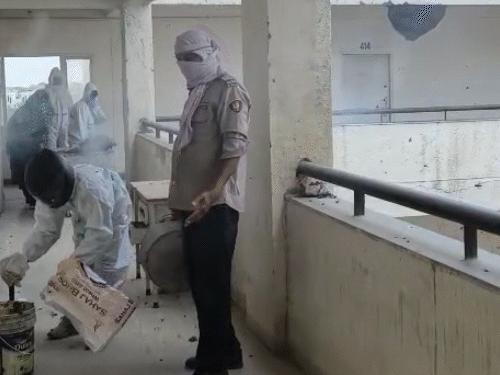 इस दौरान सुरक्षा मानकों का पूरा ध्यान रखते हुए मधुमक्खियों के छत्तों का सुरक्षित तरीके से निस्तारण किया गया।