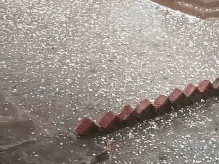 Rewa Tyonthar Hailstorm Damages Crops | Barethi, Korav Farmers Face Losses