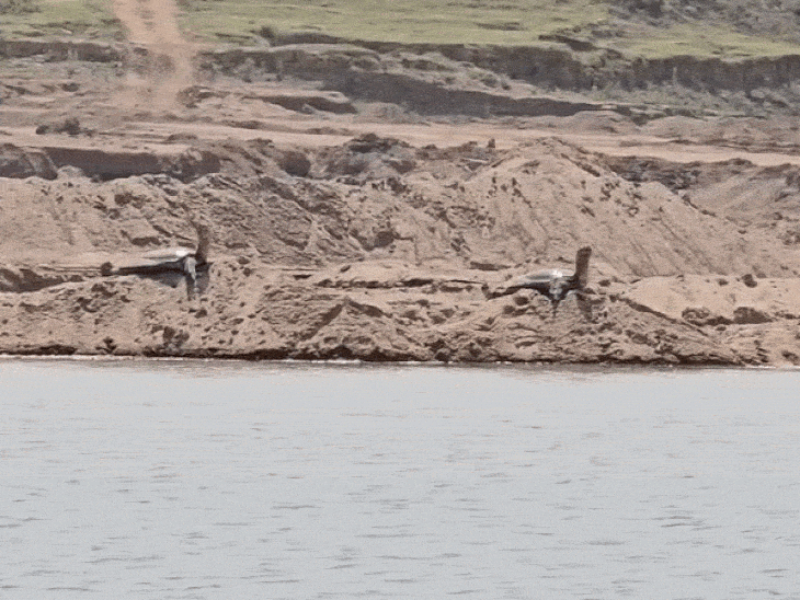 चम्बल राजघाट पर रेत का अवैध खनन बड़े स्तर से जारी है।