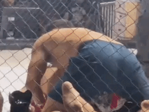 संग्राम सिंह जीत के साथ वह अर्जेंटीना में एमएमए मुकाबला जीतने वाले पहले भारतीय बन गए हैं।