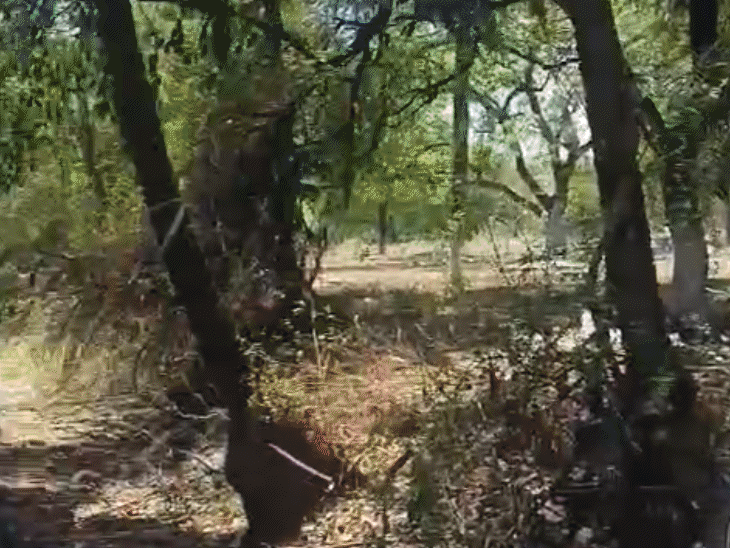 चार दिन पहले भदभदा क्षेत्र में अतिक्रमण पर कार्रवाई की गई थी।