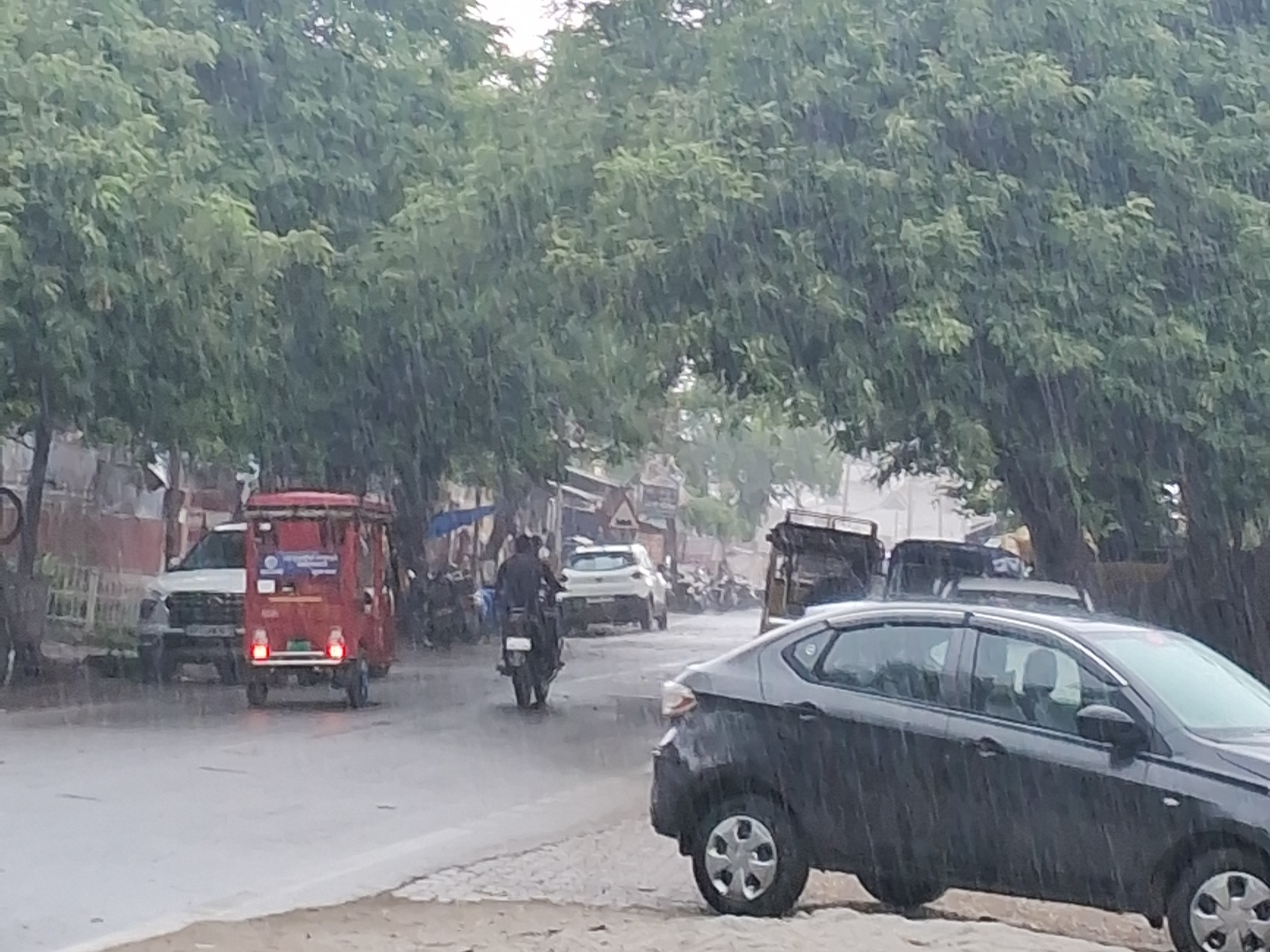 Bilsi Wheat Crop Damage Fear | Heavy Rain Upsets Farmers 2026