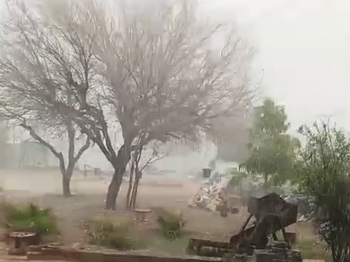 नागौर में तूफानी बारिश हुई। साथ में ओले भी गिरे।