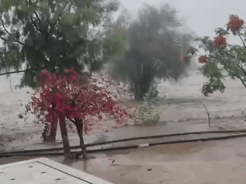 फलोदी में भी सुबह करीब 7 बजे तेज बरसात हुई। स्थानीय लोगों ने बताया कि बारिश के कारण फसलों को नुकसान की आशंका है।