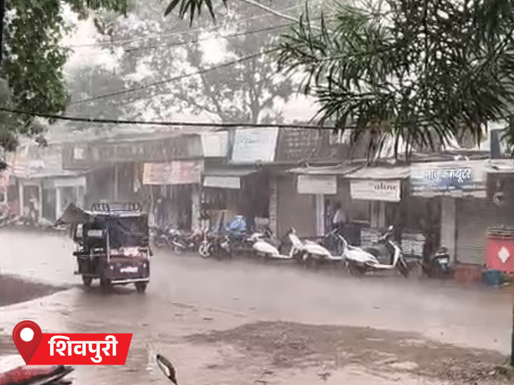 MP को सिस्टम ने घेरा…आधे हिस्से में आंधी-बारिश:  दतिया-टीकमगढ़ में ओले; ग्वालियर समेत 18 जिलों में बारिश का अलर्ट – Bhopal News