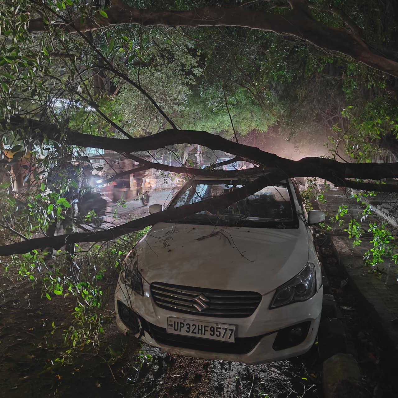 उत्तर प्रदेश के लखनऊ में आंधी में कार पर एक पेड़ गिर गया। ड्राइवर की बाल-बाल जान बची।