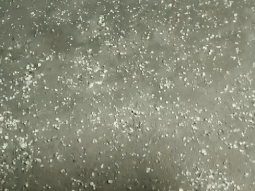 नागौर जिले के चुई गांव में मंगलवार सुबह करीब 5 बजे चने के आकार के ओले गिरे।