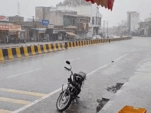 जोधपुर के तिंवरी में मंगलवार सुबह करीब एक घंटे तक तेज बरसात हुई है। शहर के कई हिस्सों में जल जमाव भी हो गया।