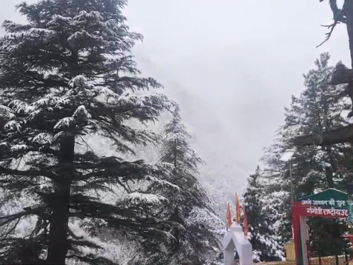 उत्तराखंड के गंगोत्री धाम में भी जमकर बर्फबारी हुई। पहाड़ों पर सफेद चादर देखी जा सकती है।