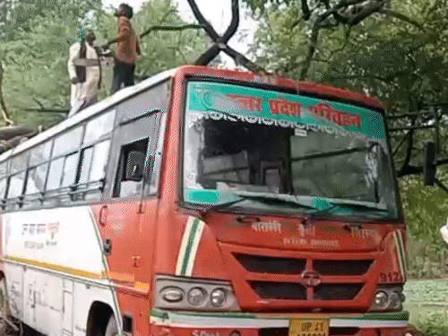 A tree branch broke and fell on a moving roadways bus in Barabanki, Uttar Pradesh.