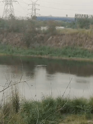 इसी गड्ढे में डूबने से छात्र हर्षित भट्ट की मौत हो गई।