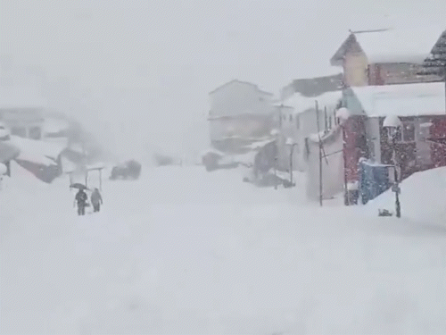 Due to continuous heavy snowfall in Kedarnath Dham of Uttarakhand, the entire area is covered with a thick layer of snow.
