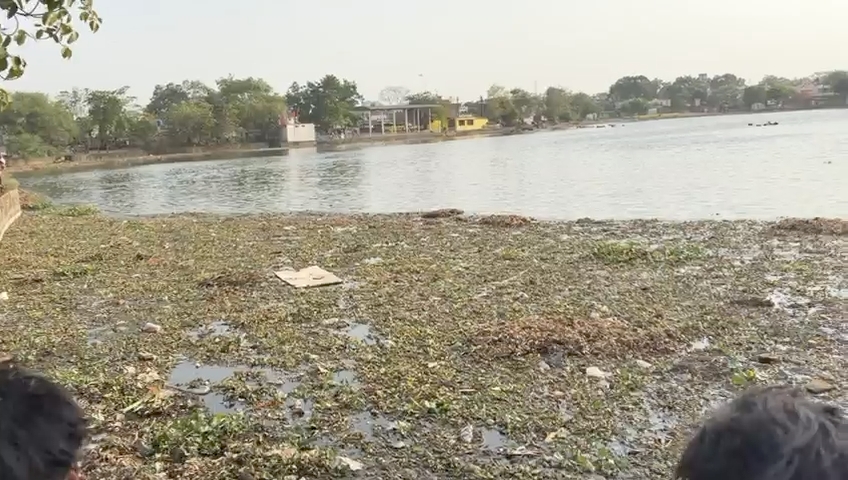 इसी तालाब में डूबने से हुई मौत।