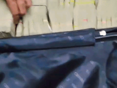 साहिल सोशल मीडिया पर नोटों की गड्डियों की रील शेयर करता था, अब पुलिस भी रुपए के लेनदेन को लेकर जांच कर रही है।