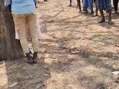 पेड़ पर फंदा बनाकर दोनों एक साथ झूल गए।