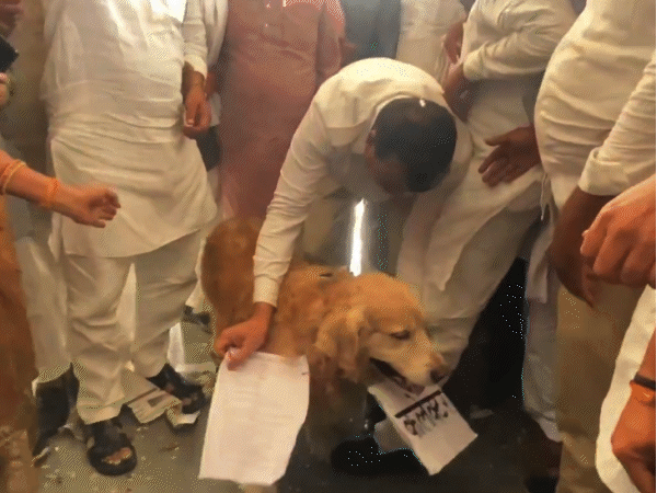 सीहोर में कलेक्टर मिलने नहीं आए तो नेता प्रतिपक्ष ने कुत्ते को ज्ञापन सौंप दिया।